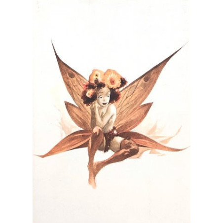 Portfolio Varanda