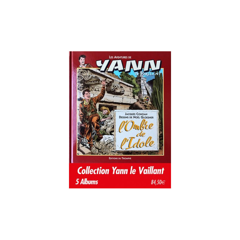 Collection 5 albums Yann Le Vaillant'