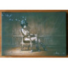 Les papillons (Tirage sur toile)