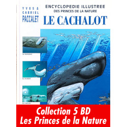 Portfolio J-C Servais La Nature au fil des mois