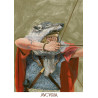 Auguria - Set 3 Illustrations