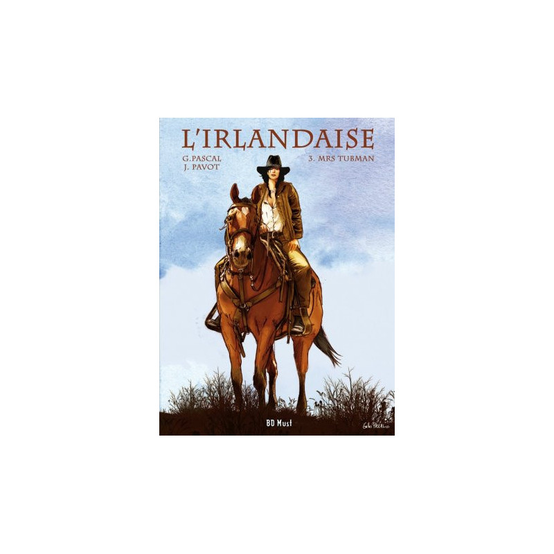 L'Irlandaise T3