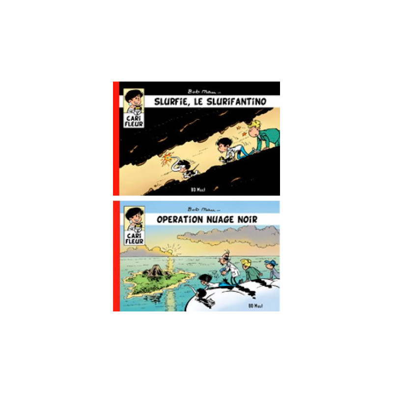 Collection 4 albums CARI FLEUR