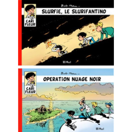 Collection 4 albums CARI FLEUR